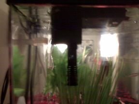 filter_side.jpg filter_side.jpg