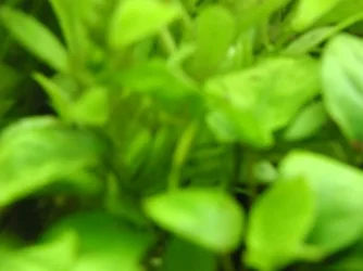 001.webp