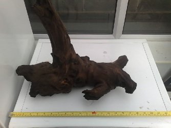 Bogwood3.jpg