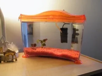 small tank.webp