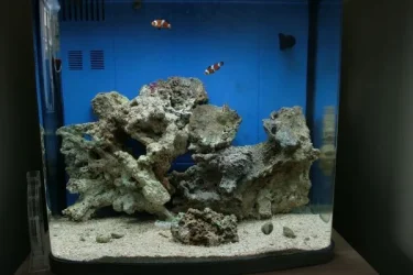 FTS.webp FTS.webp