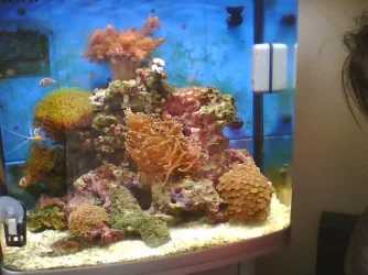 Picture0123.webp