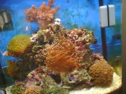 Picture0124.jpg