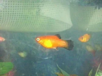 013kj hfdaksvnh.webp 013kj hfdaksvnh.webp