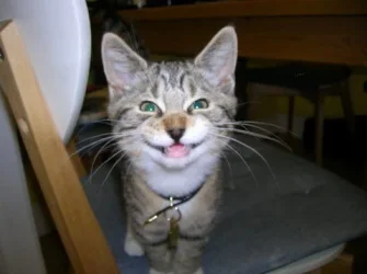 duncansmiling.webp