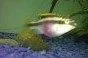 11042_175649109150_701844150_2967640_775575_s.webp