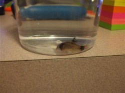 DSCF3779 (Small).JPG