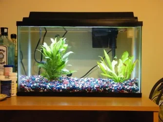 small tank III.webp