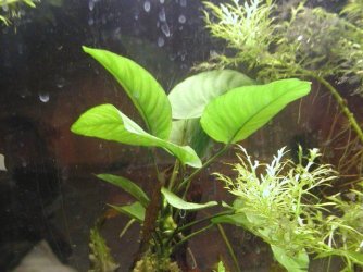 clair and aquarium 026.JPG