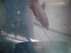 SUNP0028(1) (WinCE).JPG