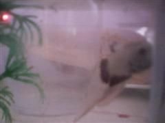 SUNP0067(1) (WinCE).JPG