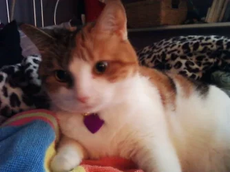 Photo0140.webp
