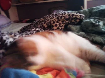 Photo0141.webp