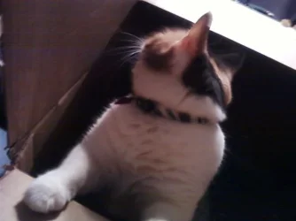 Photo0200.webp