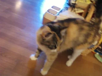 Photo0133.webp