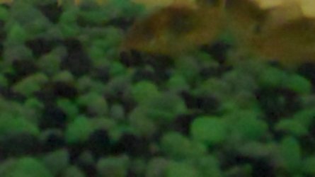 MB0926718536_159154448_5966_1280_720_HD1.jpg