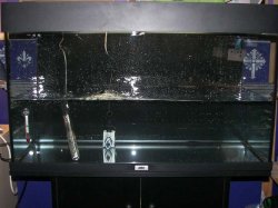 100_6571.jpg