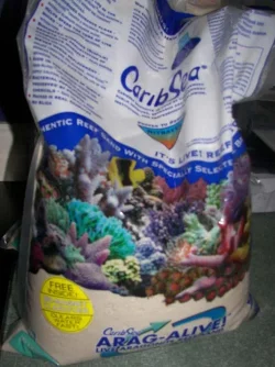 100_6572.webp