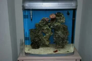 FTS.webp FTS.webp