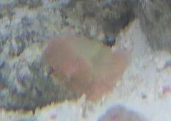 HPIM0197.webp
