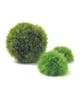 mossballsx3loose.webp