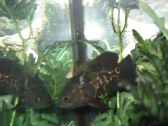 IMG_4416.webp