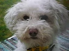 SUNP0016 (WinCE).webp SUNP0016 (WinCE).webp