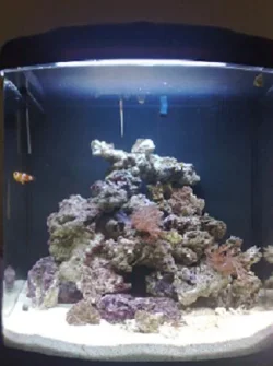 fishy fishy.webp