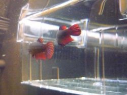 P1030492.JPG P1030492.JPG