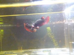 P1030504.JPG P1030504.JPG