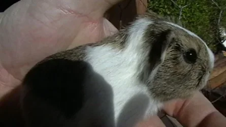 louise and ottis 001.webp