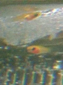 023.webp 023.webp