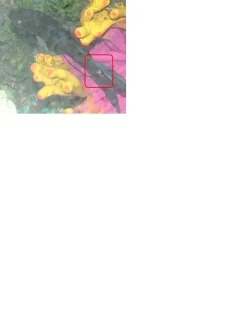 poste6.webp