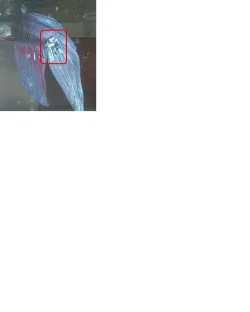 poste7.webp