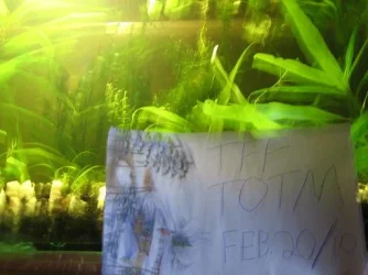 tank shot2.webp