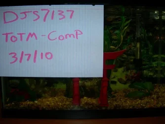 DSCN4864.webp