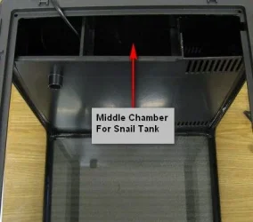 middle chamber2010-03-14_222909.webp