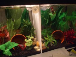 DSCF4580 (Medium).JPG