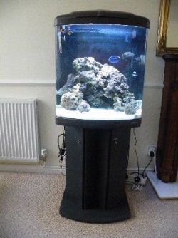 2010_03260011.JPG