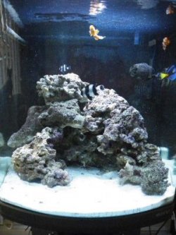2010_03260009.JPG