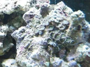 2010_03260012.webp
