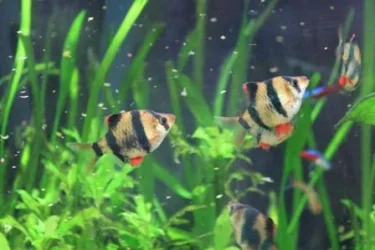 feeding time.webp