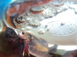 DSC00769.JPG DSC00769.JPG