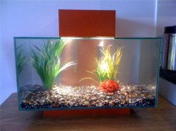 aquarium.jpg aquarium.jpg