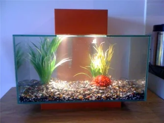 aquarium.webp