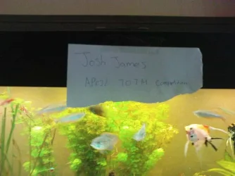 TOTMname.webp