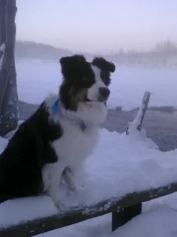 012000_164102.webp