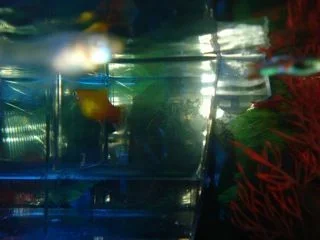 DSC01934.webp