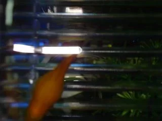 DSC01929.webp