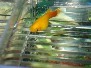 DSC01936_2.webp